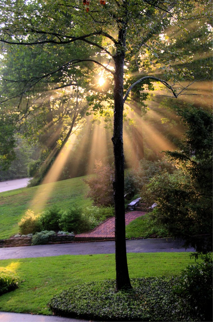 Sunbeams_+1_-1_tonemapped